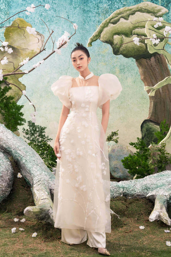 Wanda Mandarin Neck Ao Dai