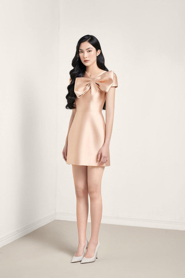 Larme Mini Dress